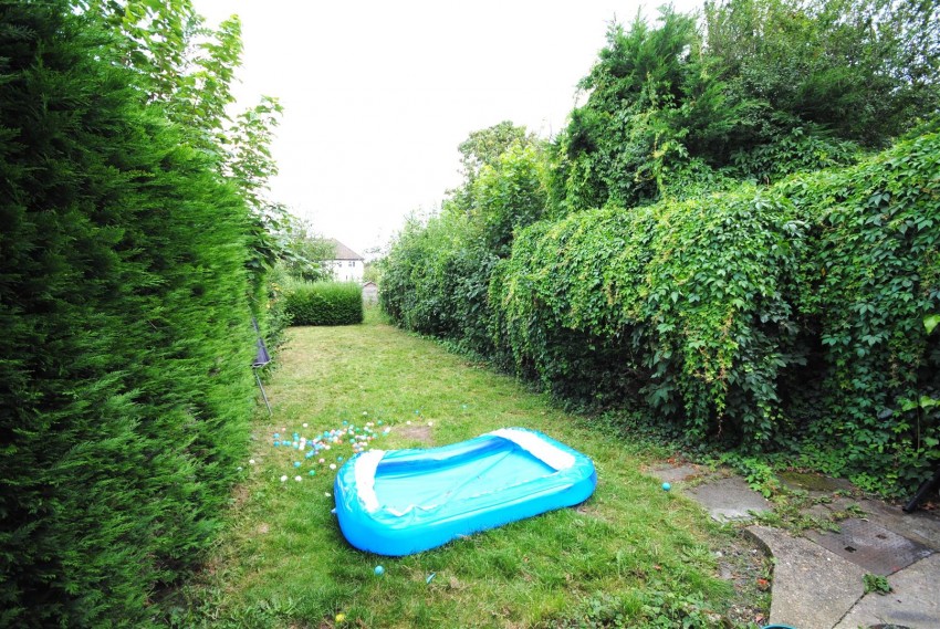 Images for The Harebreaks