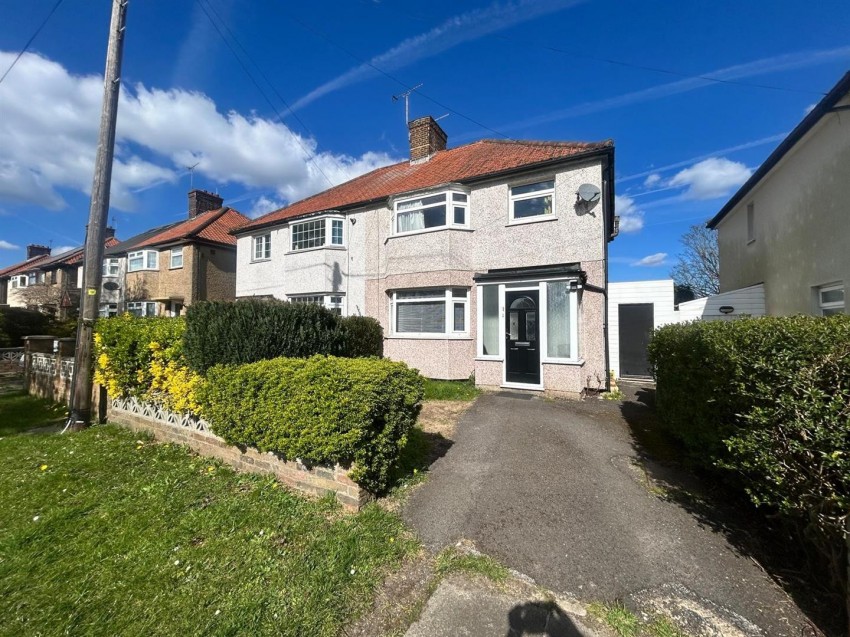 Images for The Harebreaks